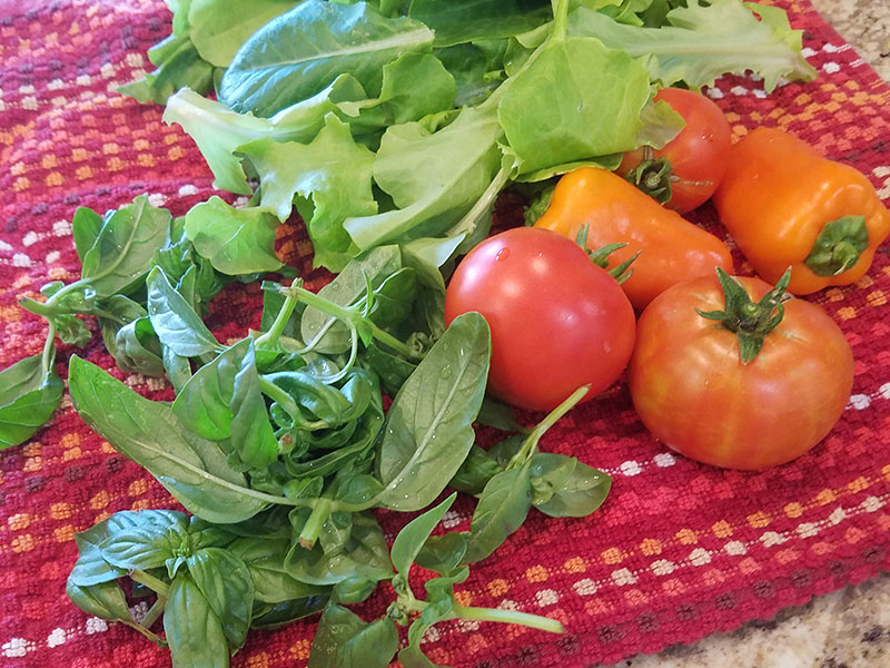 Victory Garden Package at Gardners Green Earth